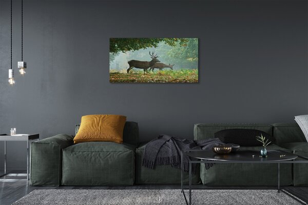 Quadro su tela Jeleń Las Autumn 100x50 cm
