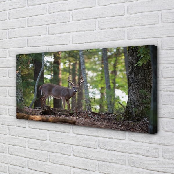 Quadro su tela Forest Jeleń 100x50 cm