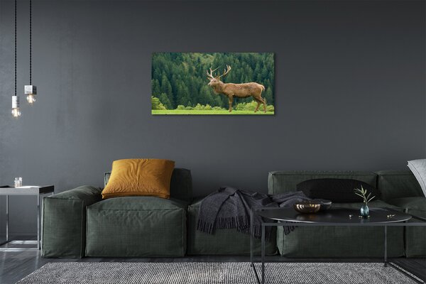 Quadro su tela Cervo sul campo 100x50 cm