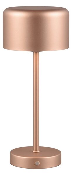 Lampada da tavolo dimmerabile a LED in rame (altezza 30 cm) Jeff - Reality