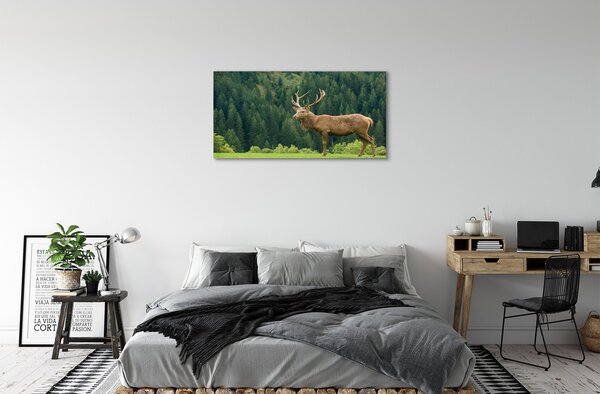 Quadro su tela Cervo sul campo 100x50 cm