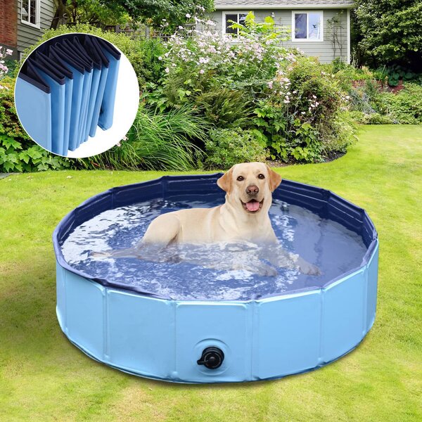AllMyPets Piscina in Plastica Bordo Stabile per cani Animali Domestici Blu 120x30cm - D01004BU