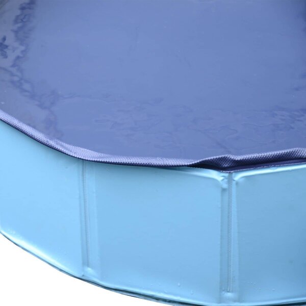 AllMyPets Piscina in Plastica Bordo Stabile per cani Animali Domestici Blu 120x30cm - D01004BU