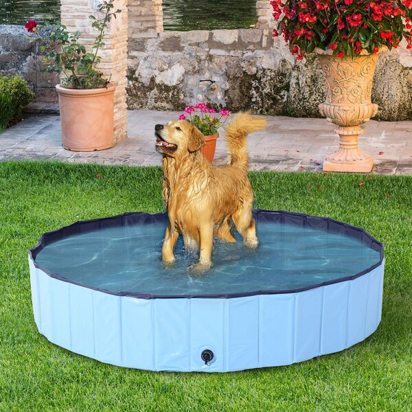 AllMyPets Piscina Pieghevole per Cani in PVC Azzurro 160x30cm xH - D01015BU