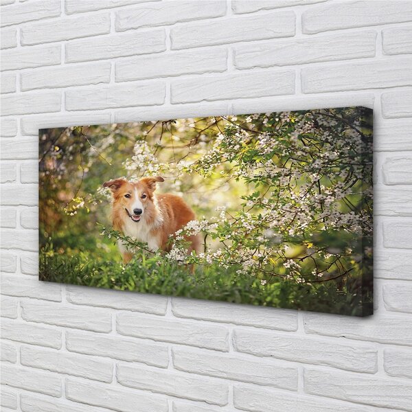 Quadro su tela Fiori della foresta per cani 100x50 cm
