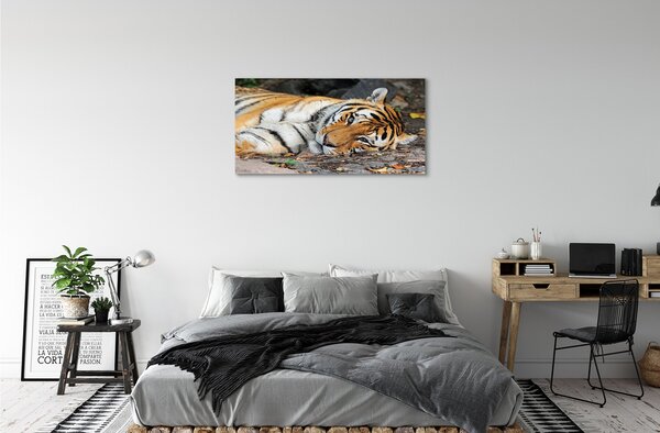 Quadro su tela Tigre bugiardo 100x50 cm