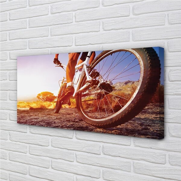 Quadro su tela Mountain Bike West 100x50 cm
