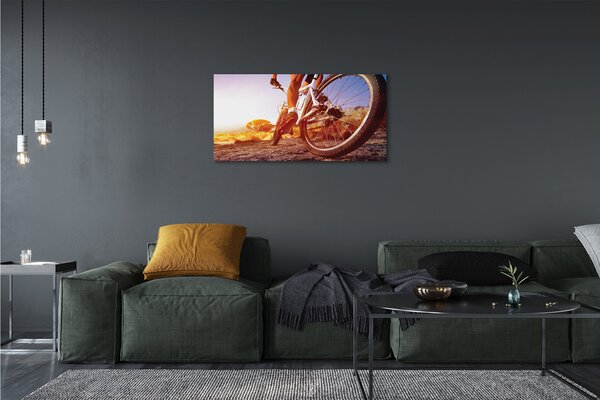 Quadro su tela Mountain Bike West 100x50 cm