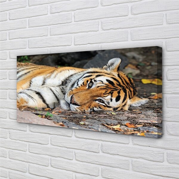 Quadro su tela Tigre bugiardo 100x50 cm
