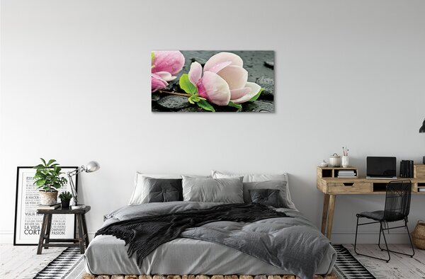 Quadro su tela Pietre magnolia 100x50 cm