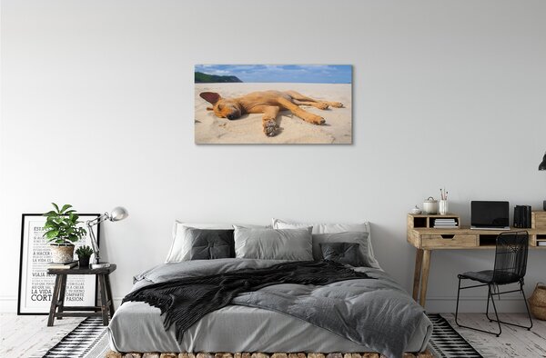 Quadro su tela Cane da spiaggia sdraiato 100x50 cm
