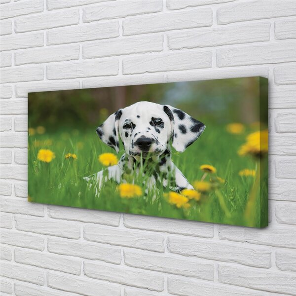 Quadro su tela Dog Meadow 100x50 cm