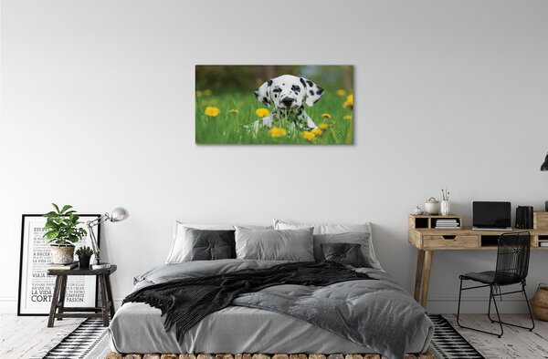 Quadro su tela Dog Meadow 100x50 cm