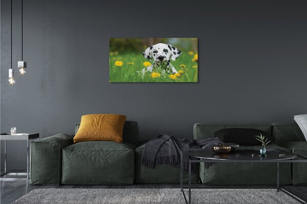 Quadro su tela Dog Meadow 100x50 cm