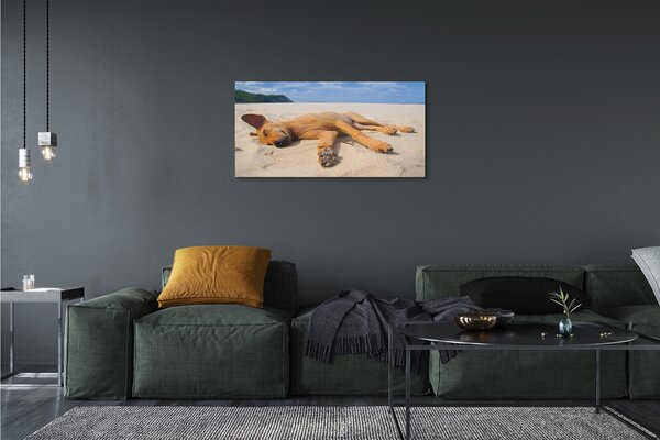 Quadro su tela Cane da spiaggia sdraiato 100x50 cm