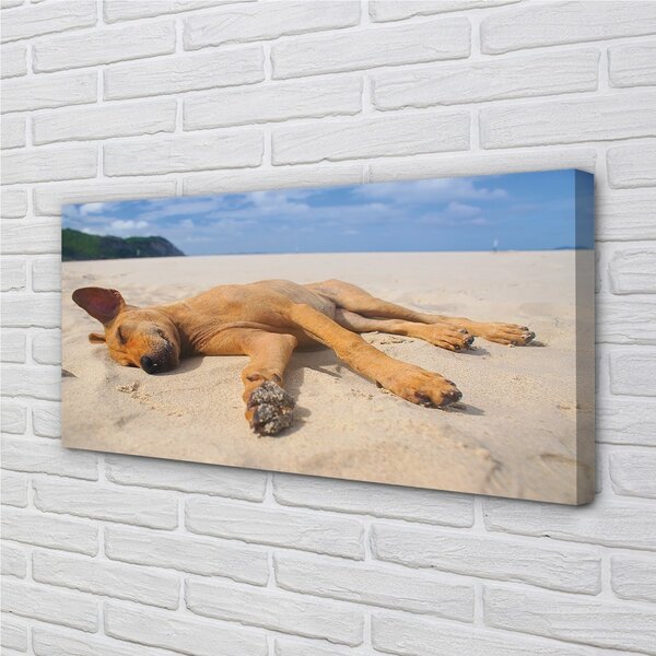 Quadro su tela Cane da spiaggia sdraiato 100x50 cm
