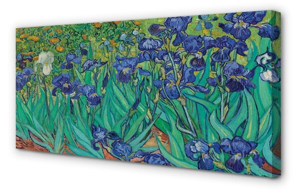 Stampa quadro su tela Flowers d'arte Iriti 100x50 cm