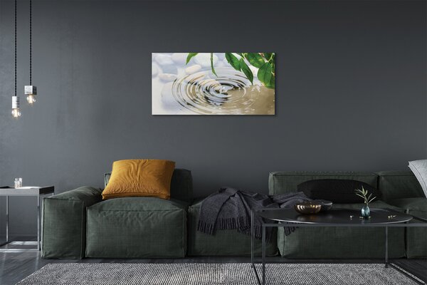 Quadro su tela Spruzzo di goccia d'acqua 100x50 cm