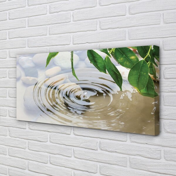 Quadro su tela Spruzzo di goccia d'acqua 100x50 cm
