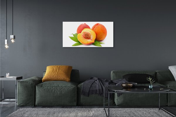 Quadro su tela Albicocca 100x50 cm