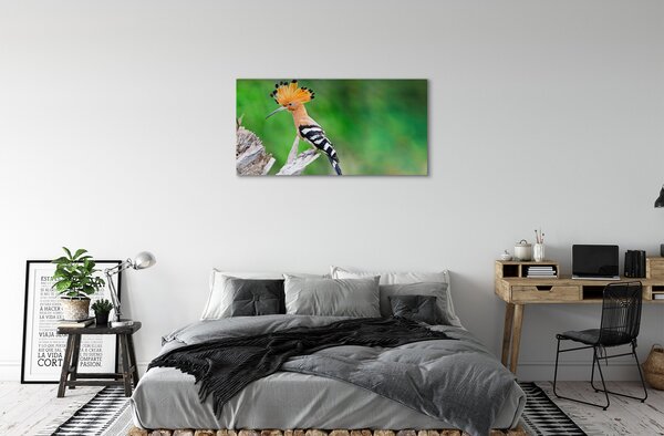 Quadro su tela Pappagallo colorato 100x50 cm