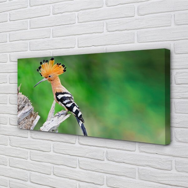 Quadro su tela Pappagallo colorato 100x50 cm