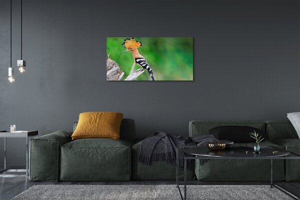 Quadro su tela Pappagallo colorato 100x50 cm