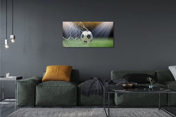 Foto quadro su tela Palla da stadio 100x50 cm
