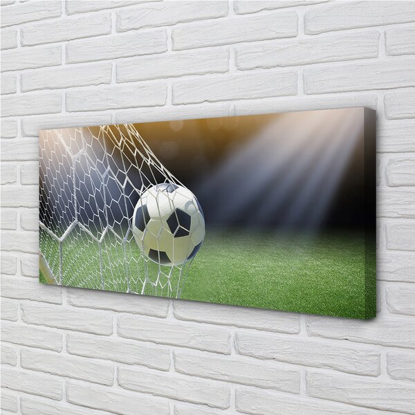 Foto quadro su tela Palla da stadio 100x50 cm