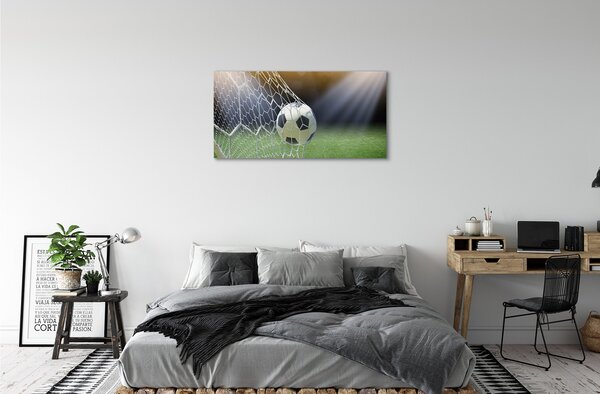 Foto quadro su tela Palla da stadio 100x50 cm