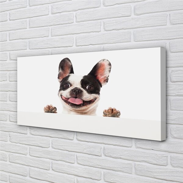Quadro su tela Cane 100x50 cm