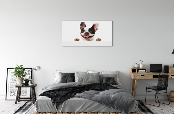 Quadro su tela Cane 100x50 cm