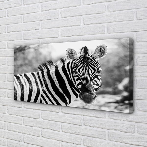 Quadro su tela Zebra retrò 100x50 cm