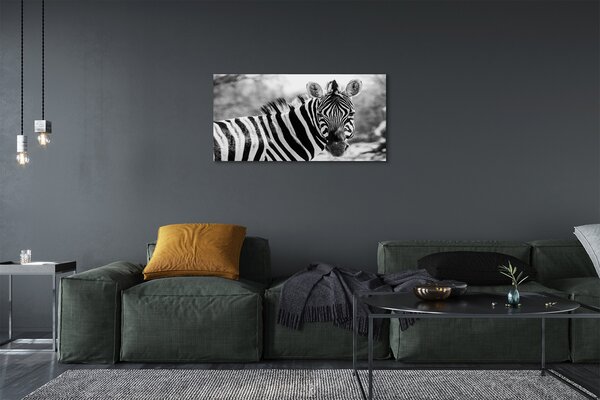 Quadro su tela Zebra retrò 100x50 cm