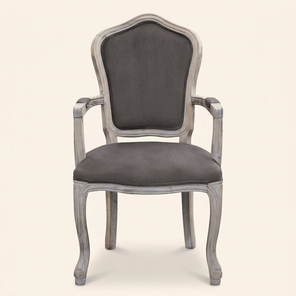 DecHome Poltrona Classica in Velluto Dimensioni 55x51x100 colore Taupe - Coritiba