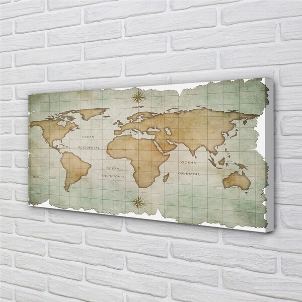 Quadro su tela Carta geografica 100x50 cm