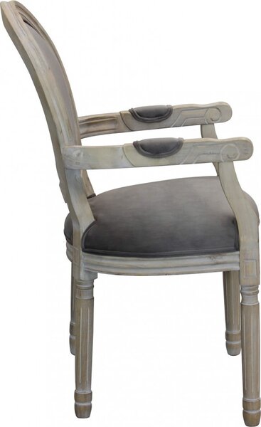 DecHome Poltrona Classica in Velluto Dimensioni 55x46x96 colore Taupe - Denver