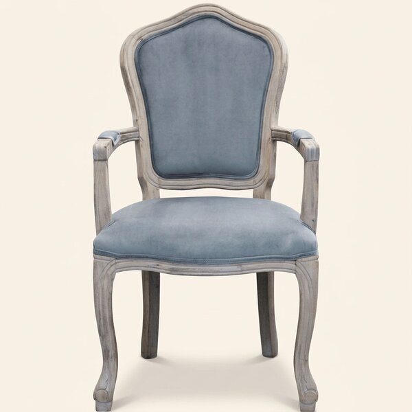 DecHome Poltrona Classica in Velluto Dimensioni 55x51x100 colore Grigio - Coritiba