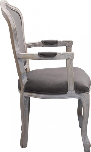 DecHome Poltrona Classica in Velluto Dimensioni 55x51x100 colore Taupe - Coritiba