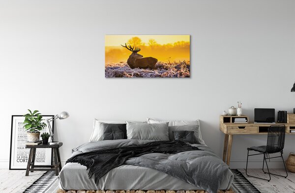 Quadro su tela Deer Winter Sunrise 100x50 cm