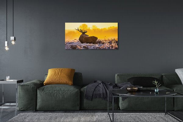 Quadro su tela Deer Winter Sunrise 100x50 cm