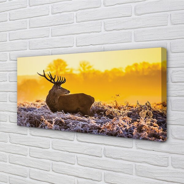 Quadro su tela Deer Winter Sunrise 100x50 cm