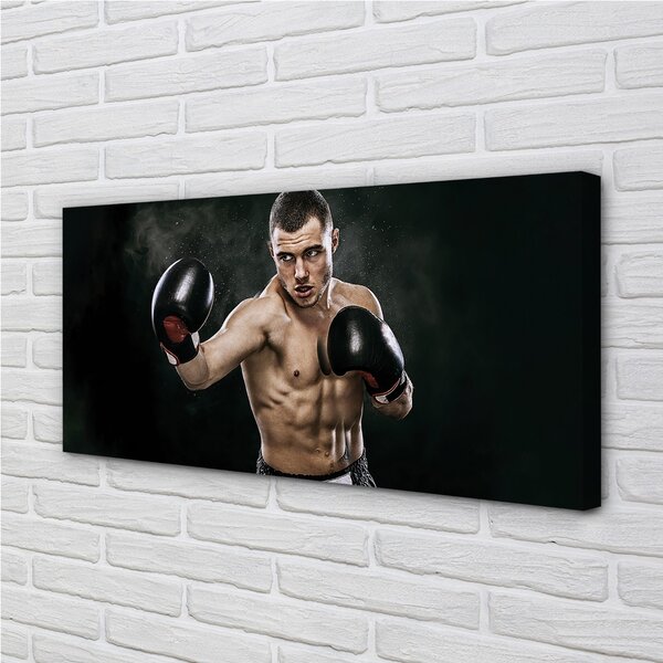 Quadro su tela Guanti 100x50 cm
