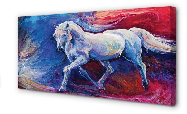 Stampa quadro su tela Cavallo 100x50 cm