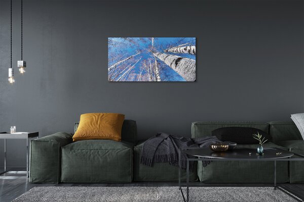Quadro su tela Cielo di betulla 100x50 cm