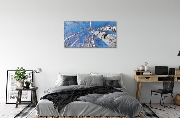 Quadro su tela Cielo di betulla 100x50 cm