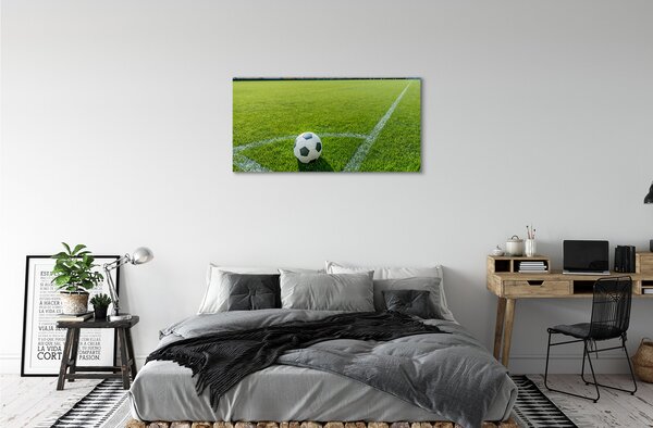 Quadro su tela Erba a sfera da stadio 100x50 cm