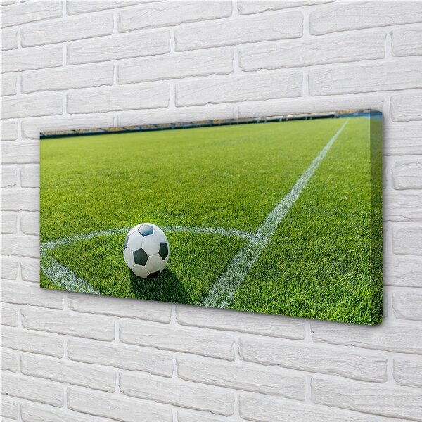 Quadro su tela Erba a sfera da stadio 100x50 cm