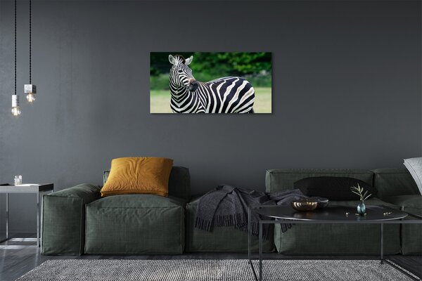 Quadro su tela Campo zebra 100x50 cm
