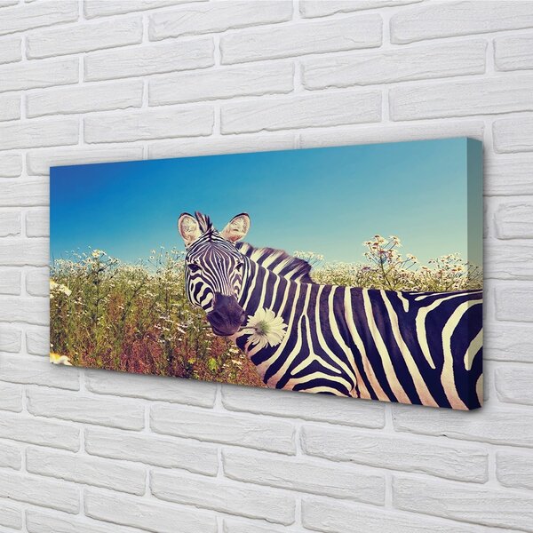 Quadro su tela Fiori zebra 100x50 cm